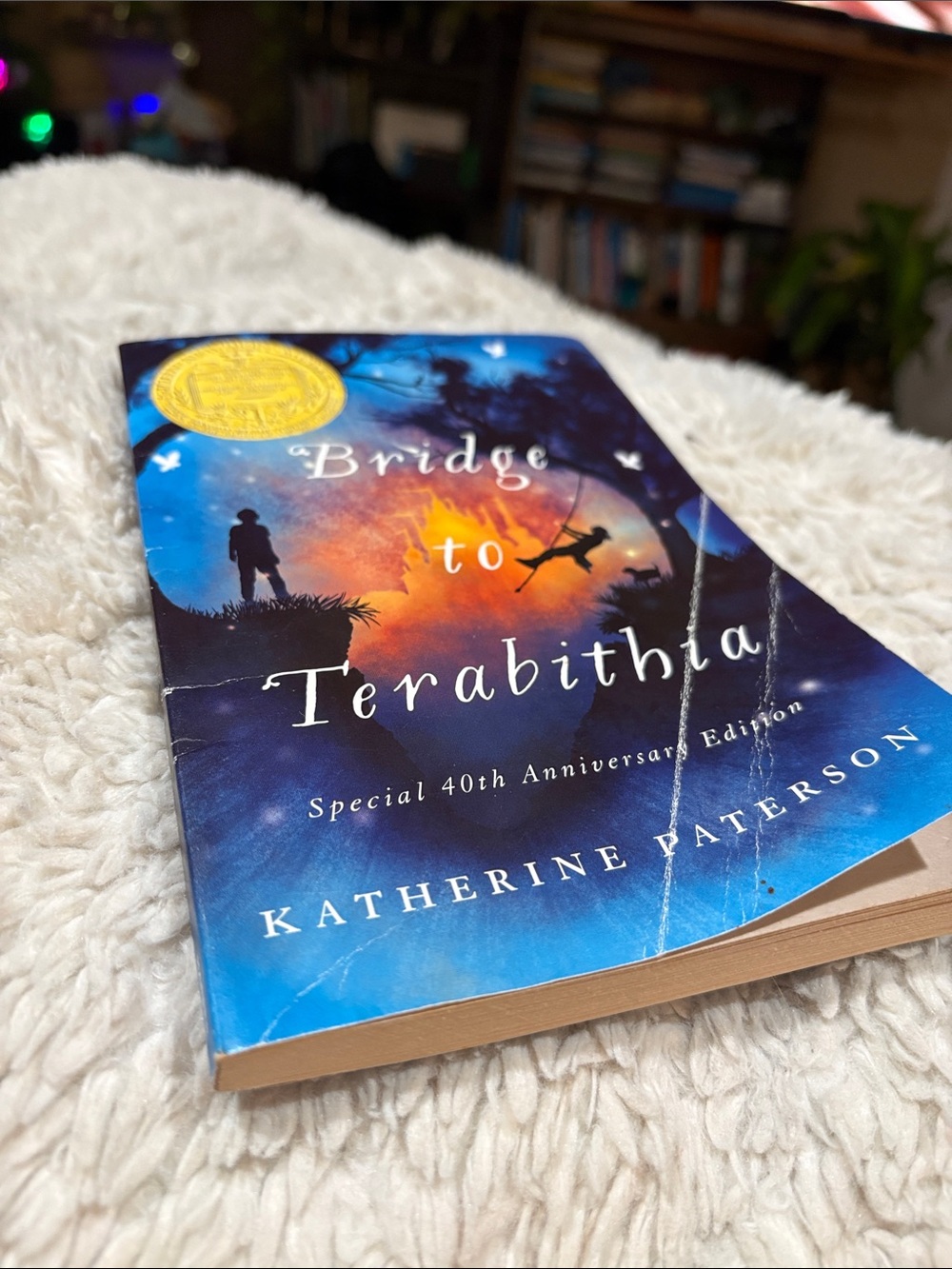 Harper Blue and Orange Illustrated Softcover Bride to Terabithia Book